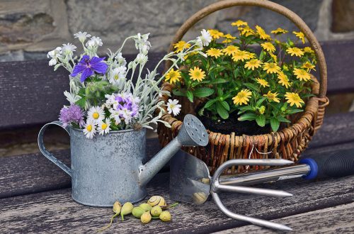 Flowers and watering can