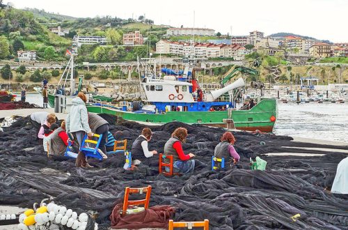 Netting and people working