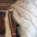 Angora blanket