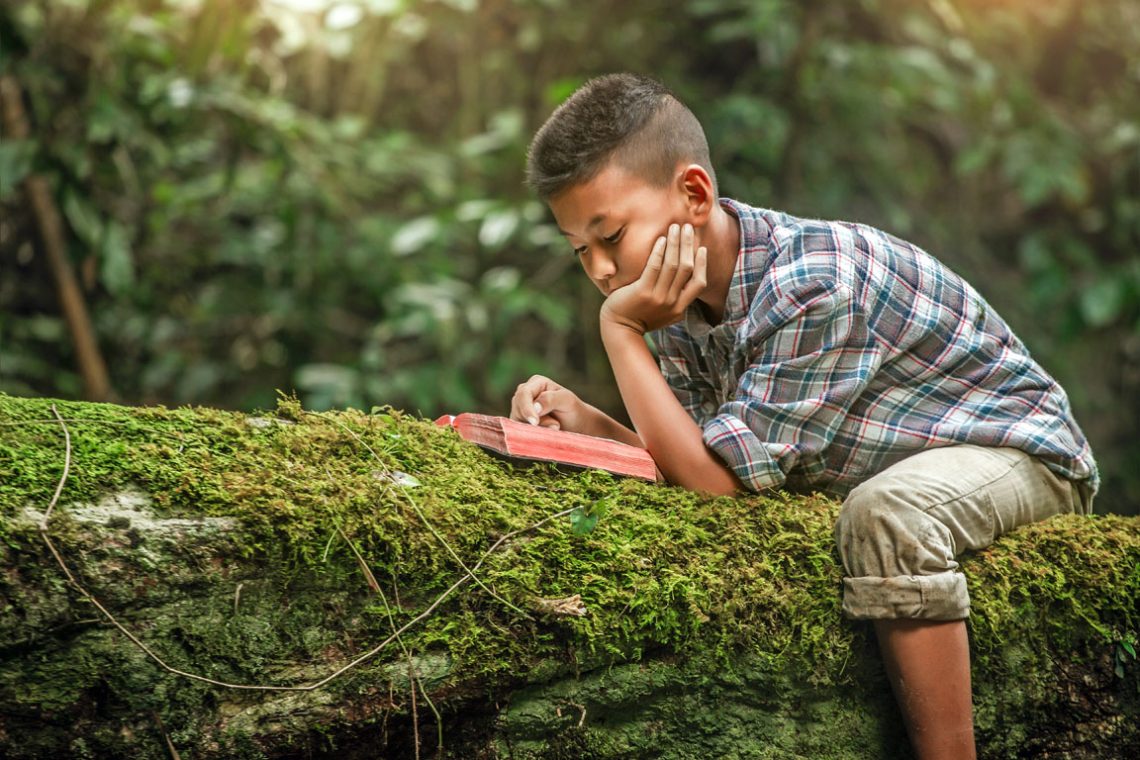 Boy reading book