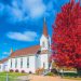 A white church next to a red tree