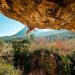 girl rock climber climbs a rock against the backdrop of a forest