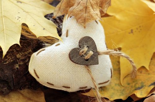 Heart pillow lying on fall leaves on the ground