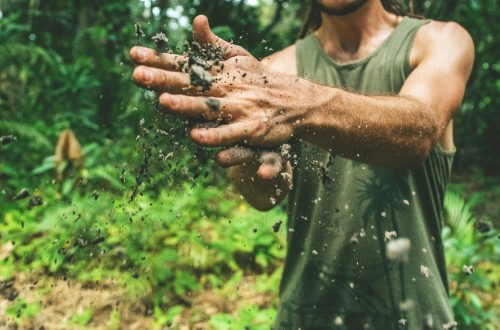 Man sifting through dirt in a forest