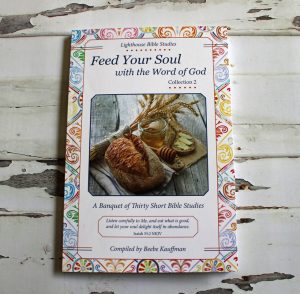 Cover pf Feed Your Soul with the Word of God, Collection 2