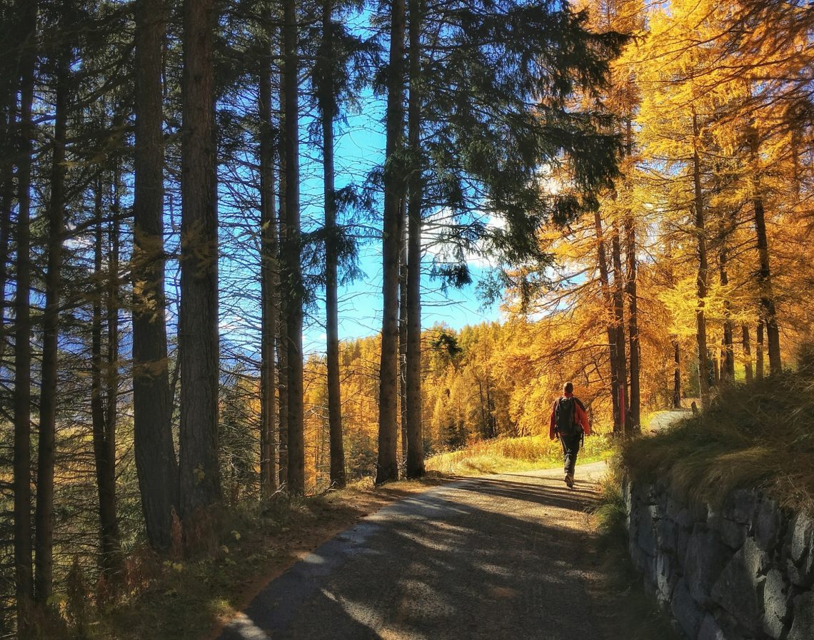 A man walking along a path in the woods during autumn