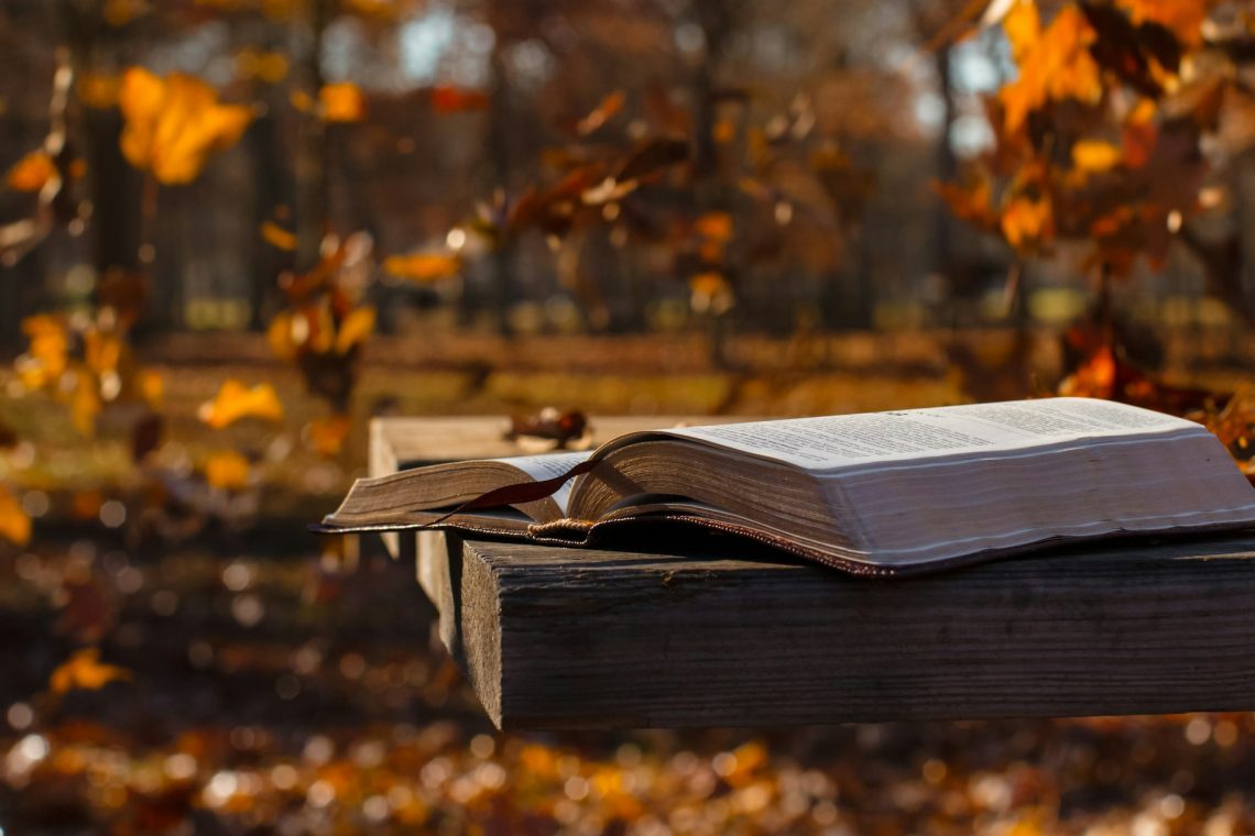 Open Bible on picnic table with fall trees in background