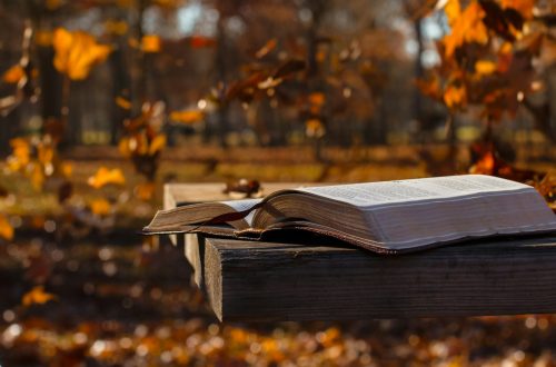 Open Bible on picnic table with fall trees in background