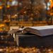 Open Bible on picnic table with fall trees in background