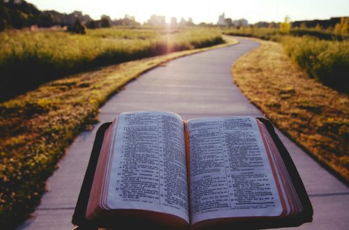 Open Bible in front of a path